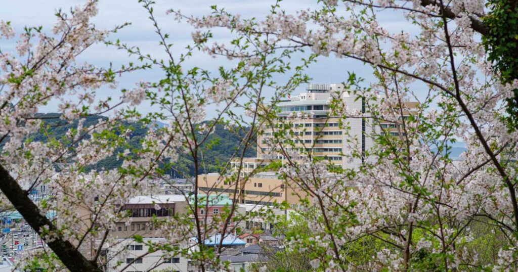 久しぶりに和歌山県立医科大学附属病院へ行ってきました